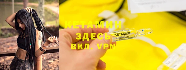 прущие грибы Медвежьегорск