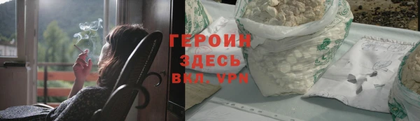 прущие грибы Медвежьегорск