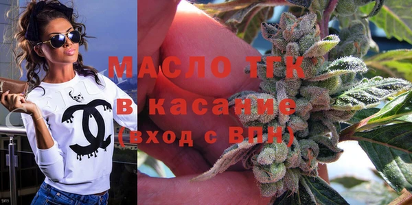 прущие грибы Медвежьегорск