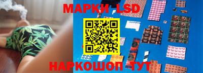 гидропоника Балахна