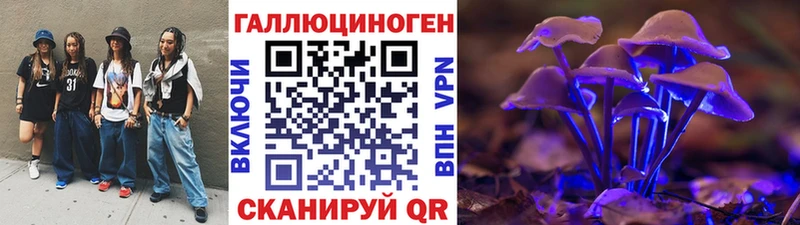 omg ТОР  Минусинск  Псилоцибиновые грибы Cubensis  купить  цена 